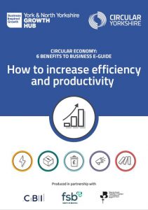 Image of the 'how to increase efficiency and productivity' guide