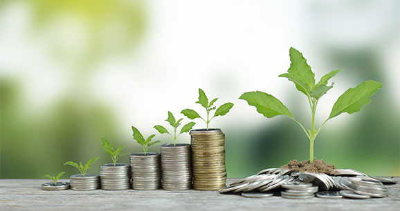 Stock image showing green shoots growing out of money, representing sustainable business practice